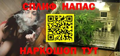 индика Бийск