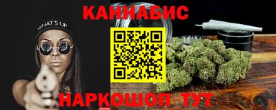 индика Бийск
