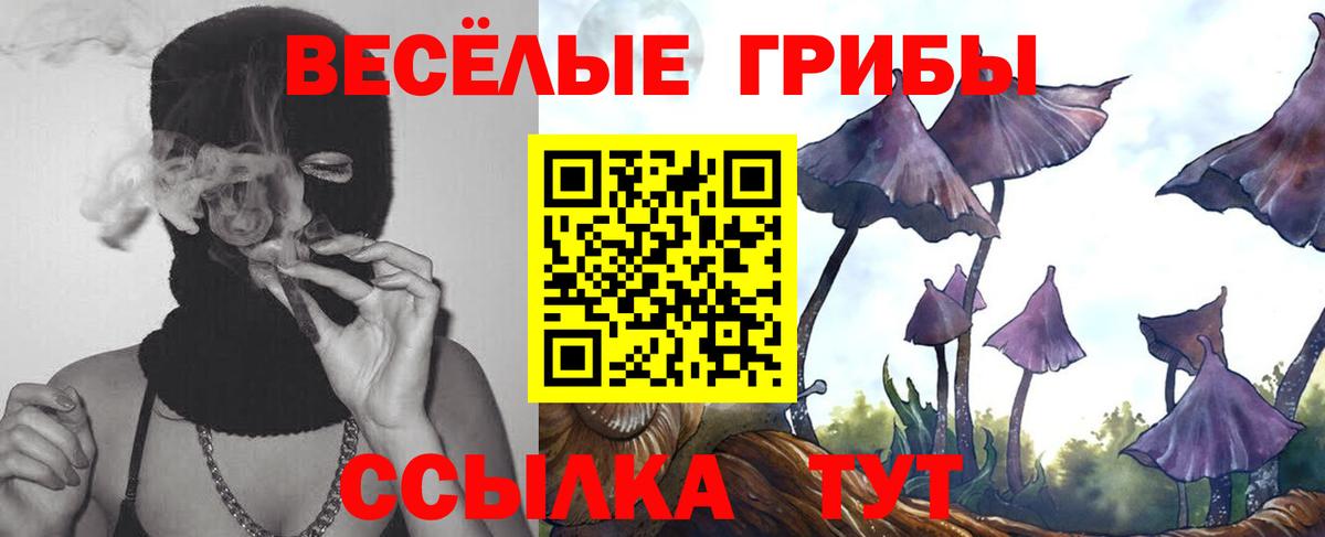 Зеленокумск  Псилоцибиновые грибы Magic Shrooms  Псилоцибиновые грибы Cubensis  Вход с VPN 